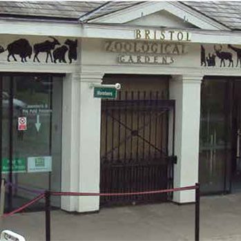Bristol-zoo-gardens
